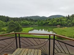 -武陵山森林公园