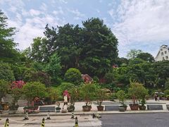 -乌山风景区