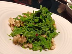 南瓜苗拌桃仁-徐记海鲜(大明宫|北二环店)