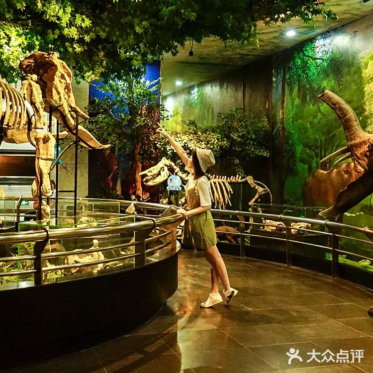 广州越秀公园不只是公园,还有自然博物馆
