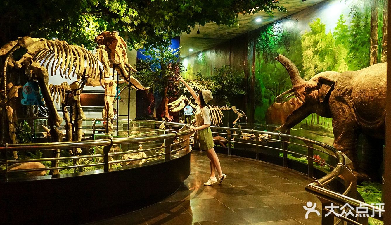 广州越秀公园不只是公园，还有自然博物馆