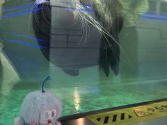 -大连圣亚海洋世界