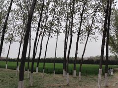 -汉长安城未央宫国家考古遗址公园