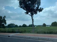 -漕湖湿地公园