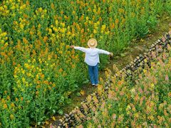 -中国天府农业博览园