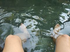 -三亚珠江南田温泉度假区