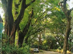 -麓湖高尔夫球俱乐部