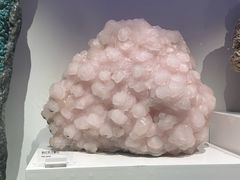-重庆自然博物馆(新馆)