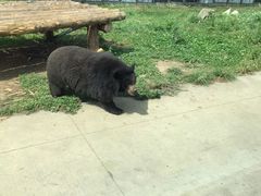 -西安秦岭野生动物园