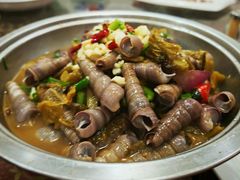 -梅子大排档