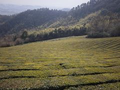 -敬亭山风景名胜区