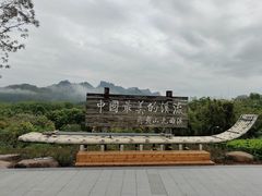 -九曲溪