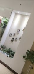 点击看大图 -Dr.林醫生产后修复·配方产康店(南京大厂店)
