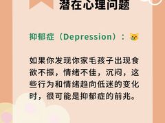 -曼朗心理咨询·旗舰店