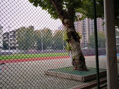 -中南财经政法大学(首义校区)