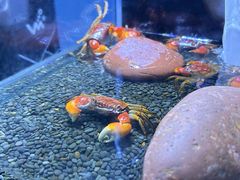 -重庆欢乐海底世界