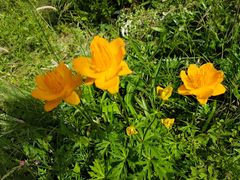 -白草畔自然风景区