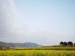 -光明小镇欢乐田园