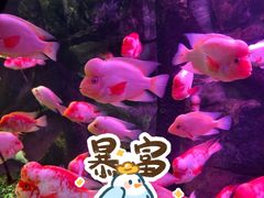 -泉城欧乐堡海洋极地世界