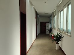 -南京医科大学友谊整形外科医院