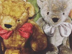 -济州岛泰迪熊博物馆