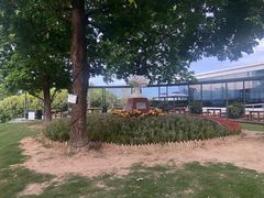 -金鸡山公园