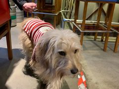 -Cactus墨西哥仙人掌餐厅