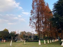 -四川大学(华西校区)