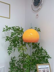 -变美丽半永久纹眉连锁·机器野生眉·洗眉