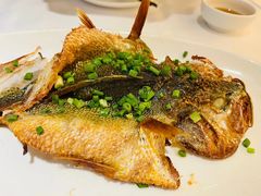 -金春禧(世茂国际广场店)