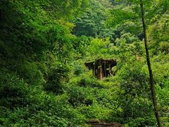-青城山