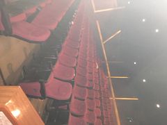 中影国际影城南宁青秀水晶城店-中影国际影城(青秀水晶城店)