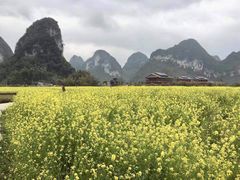 -靖西鹅泉风景区