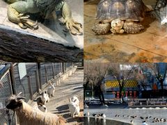 -石家庄市动物园