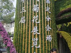 -汇龙潭