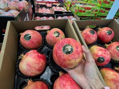 -洛阳郁金香牡丹园