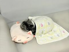 -老街烧烤(华中农业大学梧桐路步行街店)