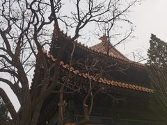 -挂甲禅寺