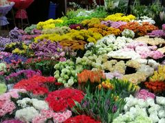-双季花艺园艺市场(浦东店)