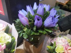 -双季花艺园艺市场(浦东店)