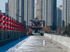 -洛阳市隋唐城遗址植物园