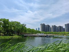 -新江湾城公园