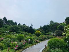 -宝鸡植物园