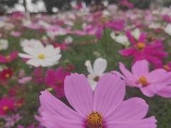 -仙岳公园