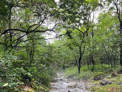 -玉渡山自然风景区