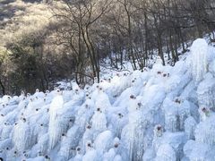 -秦岭终南山世界地质公园翠华山景区