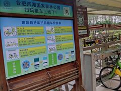 -合肥滨湖国家森林公园