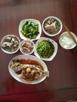 -葱妈母婴医护月嫂中心(浦东店)