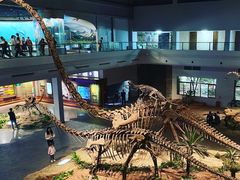 -自贡恐龙博物馆
