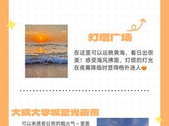 -日照海滨国家森林公园